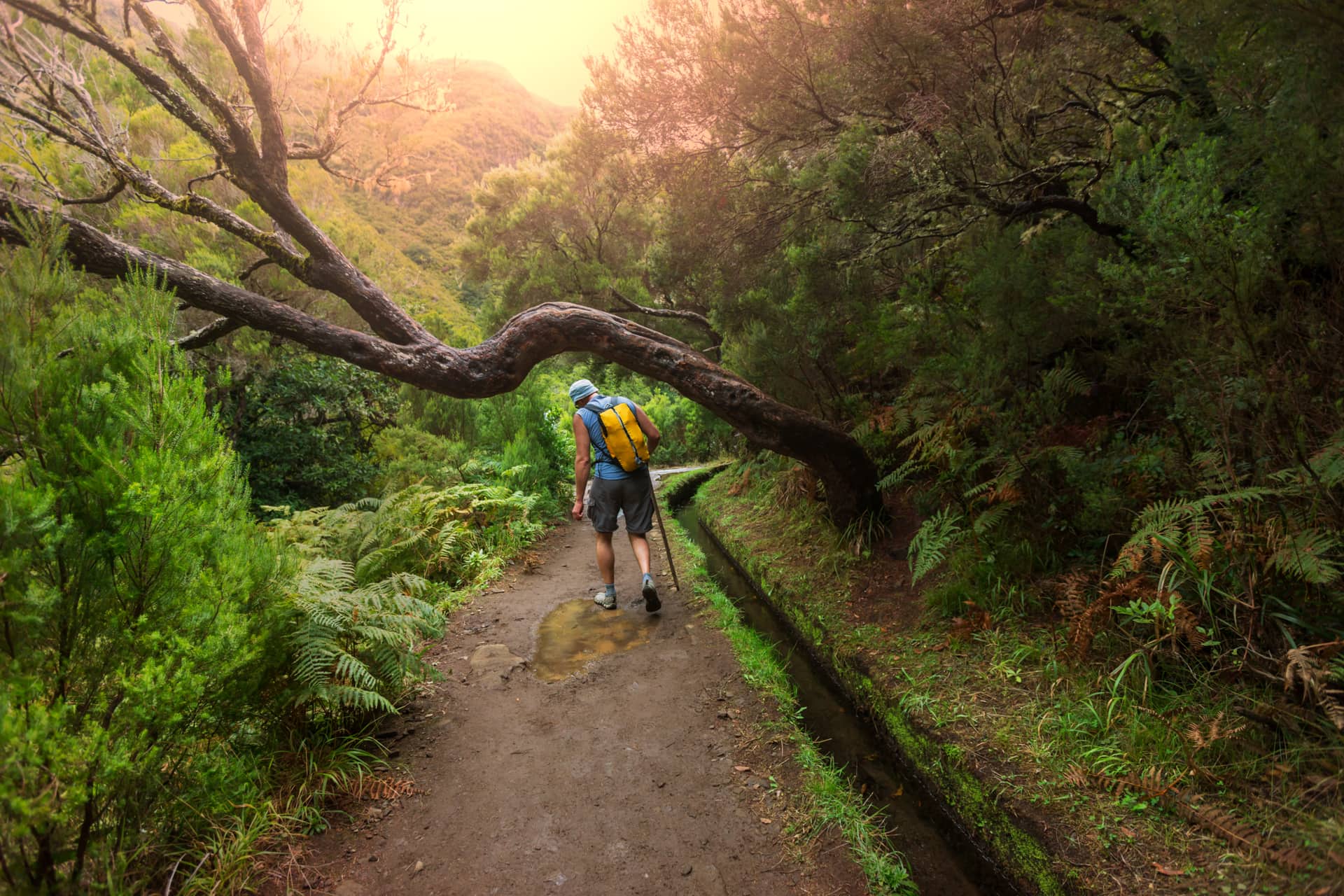 Image of Madeira Levadas & Walks Map