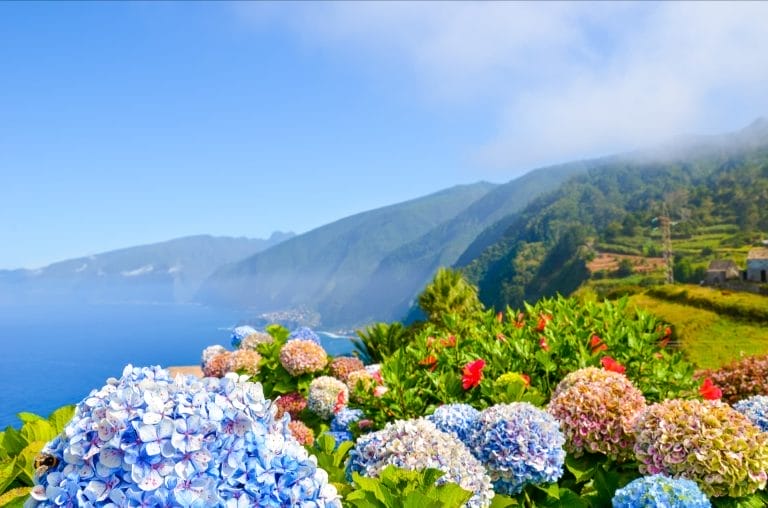 madeira